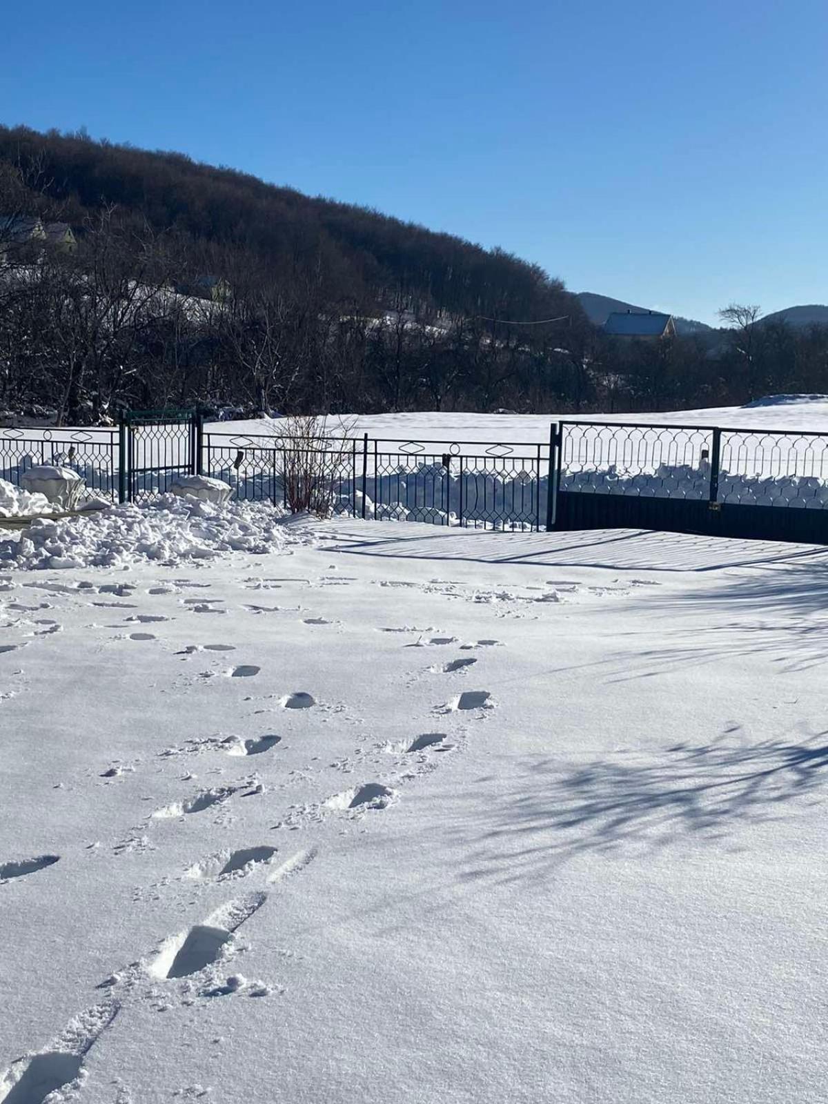 Vikendica Matic Villa Гоч Екстериор снимка